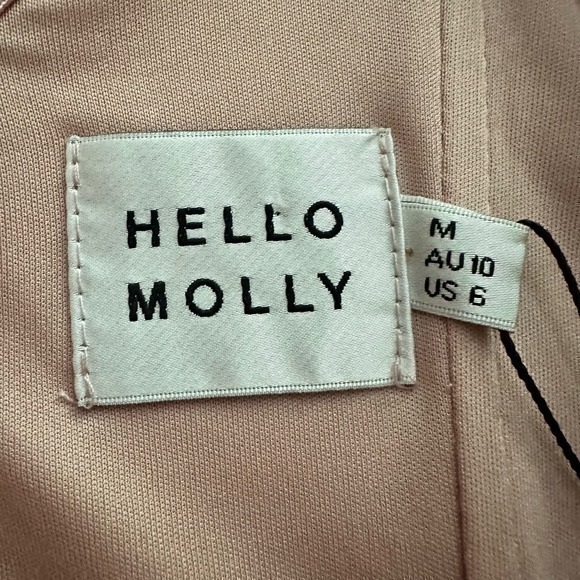 NWT‎ Hello Molly Carrying Your Love Dress in Blush Size Medium - Picture 4 of 6
